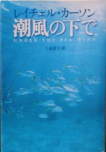 潮風の下で